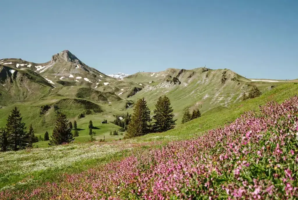 breathtaking panoramic view