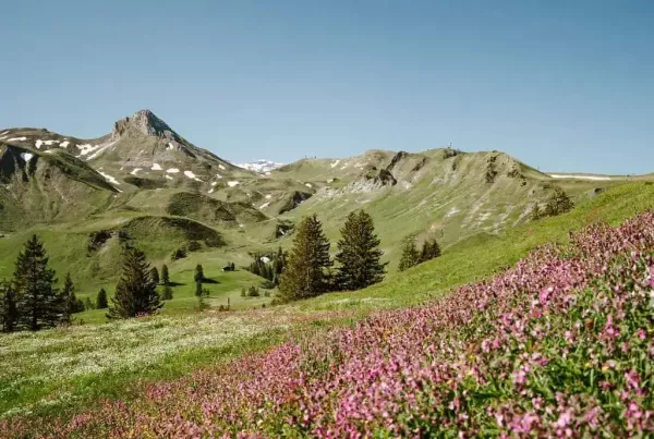 breathtaking panoramic view