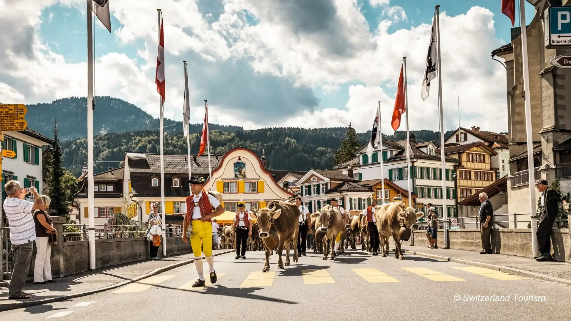 appenzell-cow-descent