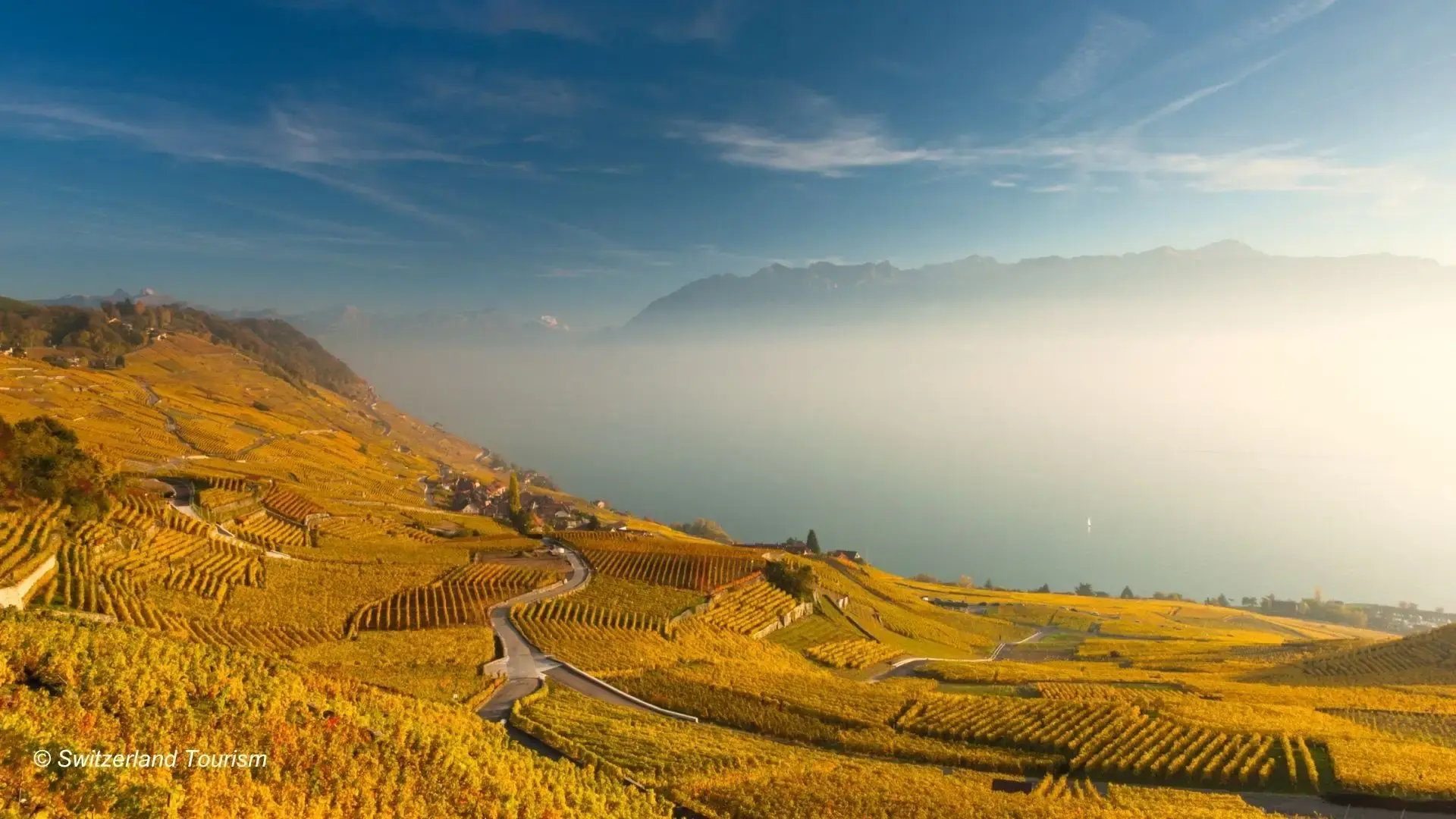 Epesses Lavaux