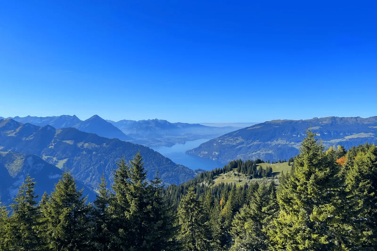 Schynige-Platte-Switzerland