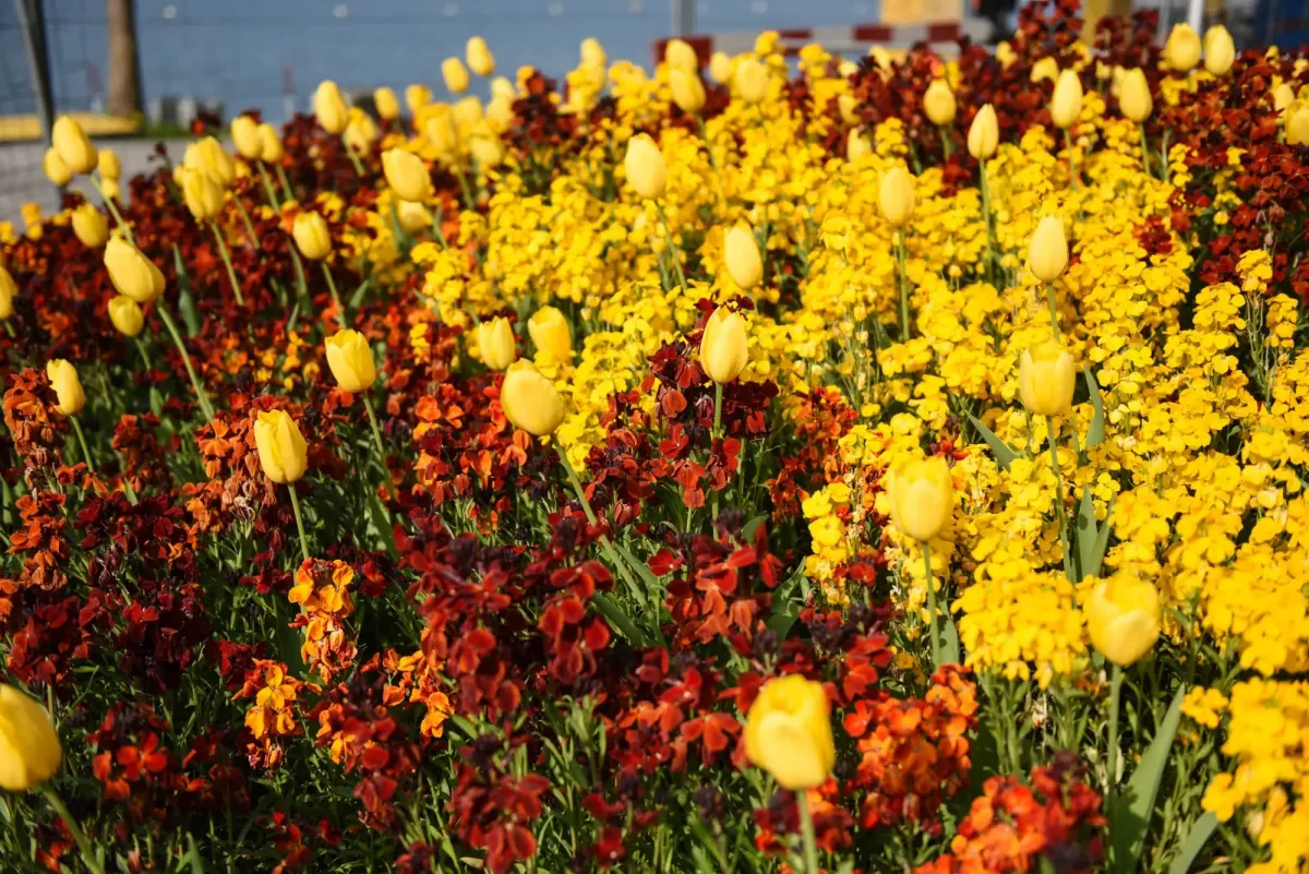 Lausanne Switzerland