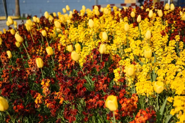 Lausanne Switzerland