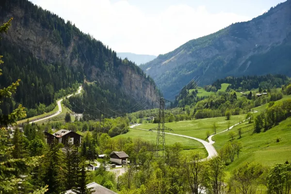 Al the way to the Swiss