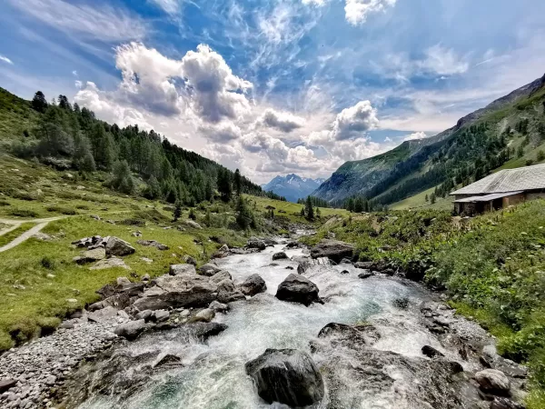 Inn River in Scuol