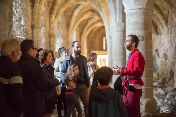 Guided tour at Chillon