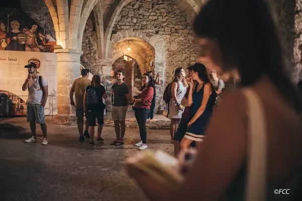 Guided Tour inside of the Castle