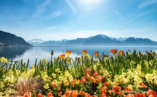 Montreux Lakeside