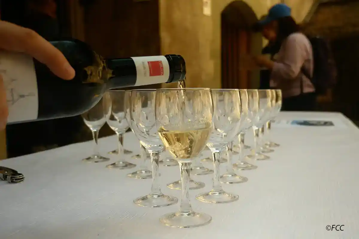 Wine tasting at Chillon Castle