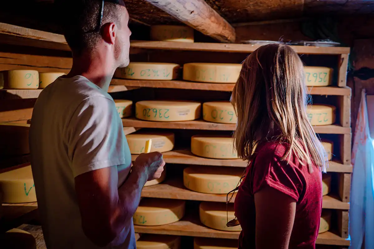 cheese cellar tasting in gimmelwald