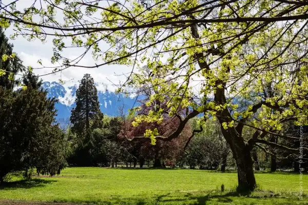 Chaplin s world a walk in the park