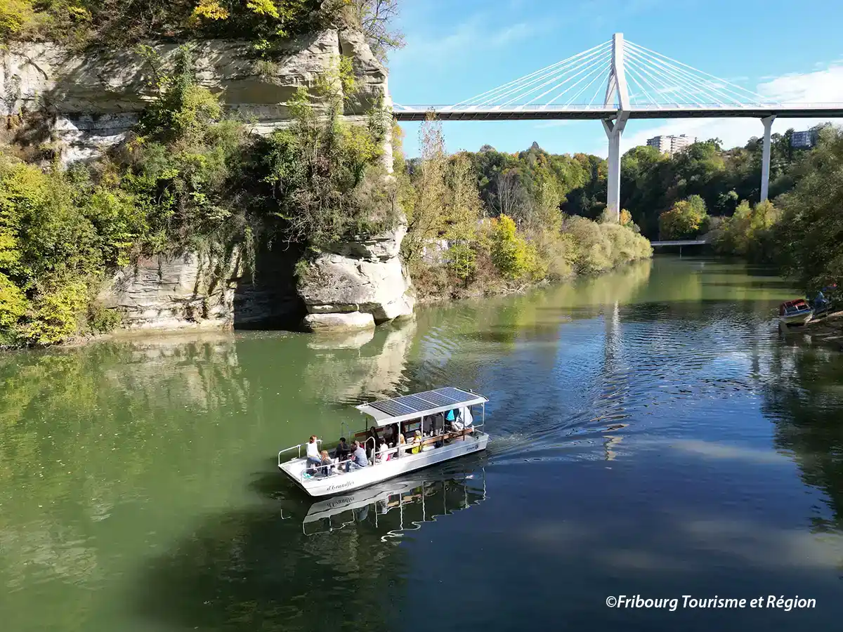 Boat Trip on Lake Schiffenen