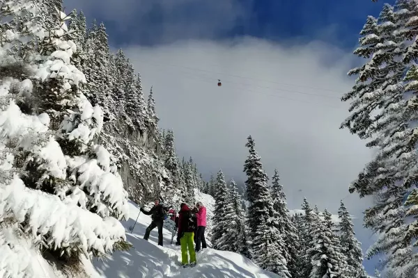 Snowshoe Trek