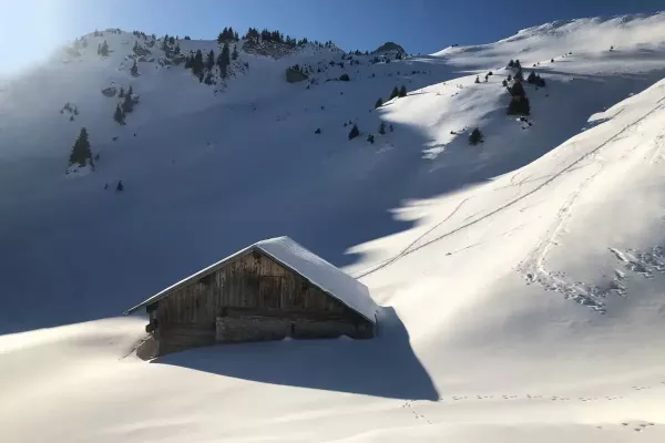 Snowy Hut