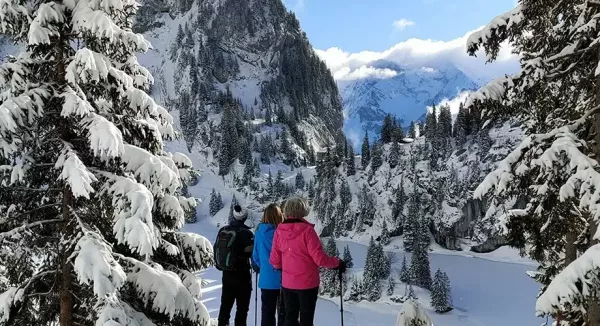 Winter Snowshoe Hike