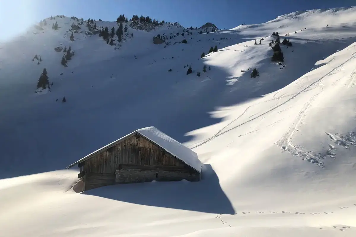 Snowy Hut
