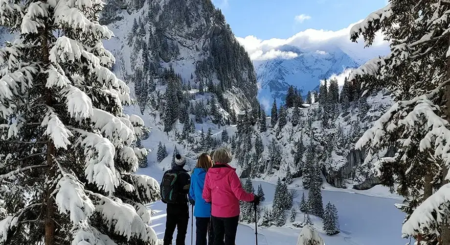 Winter Snowshoe Hike