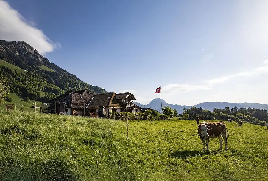 Chez Boudji Atmosphere