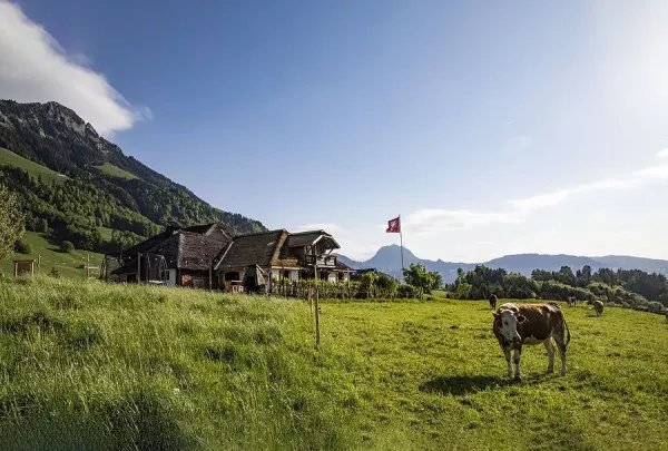 Chez Boudji Atmosphere