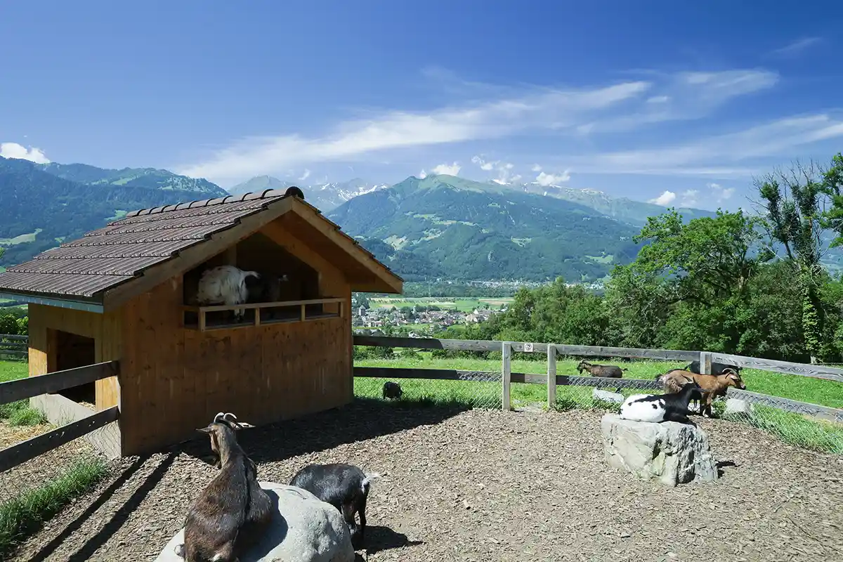 Heididorf of Maienfeld in Switzerland